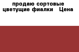 продаю сортовые цветущие фиалки › Цена ­ 130 - Ростовская обл.  »    